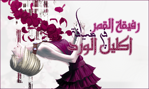 ٱلقمر bntpal.com_147440167
