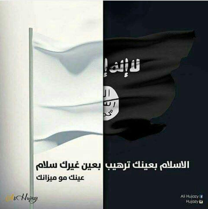 bntpal.com_147509005