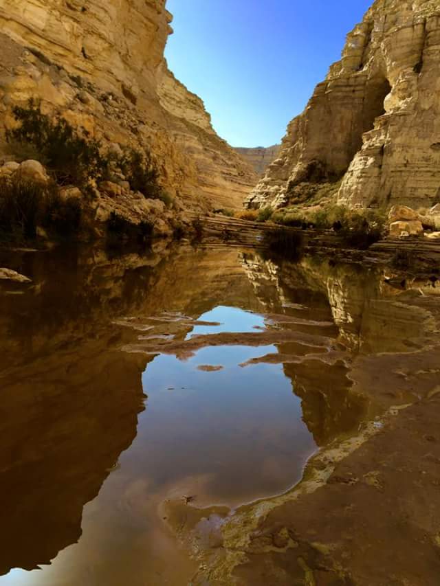 ���� ���� ������ �� ���� ������