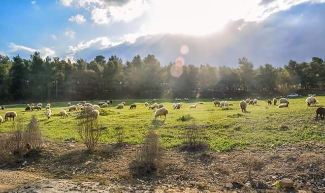 ���� ���� ������ �� ���� ������