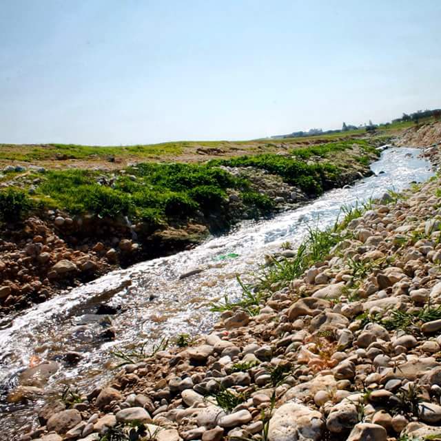 ���� ���� ������ �� ���� ������