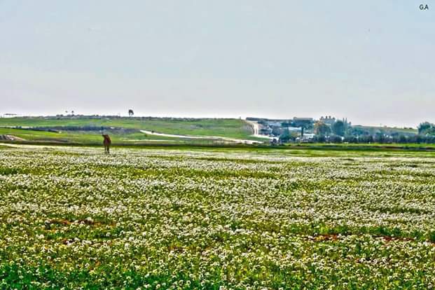 ���� ���� ������ �� ���� ������