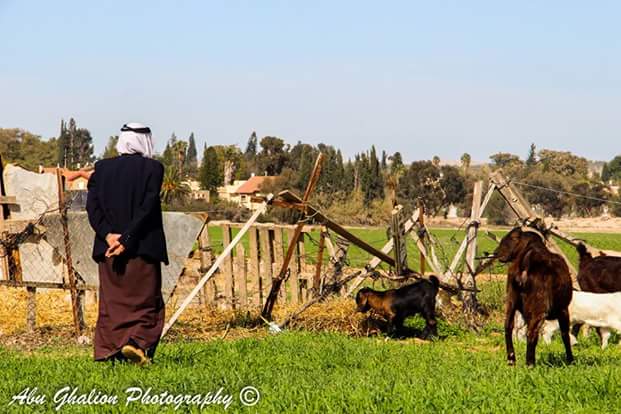 ���� ���� ������ �� ���� ������