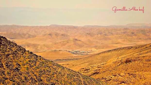 ���� ���� ������ �� ���� ������