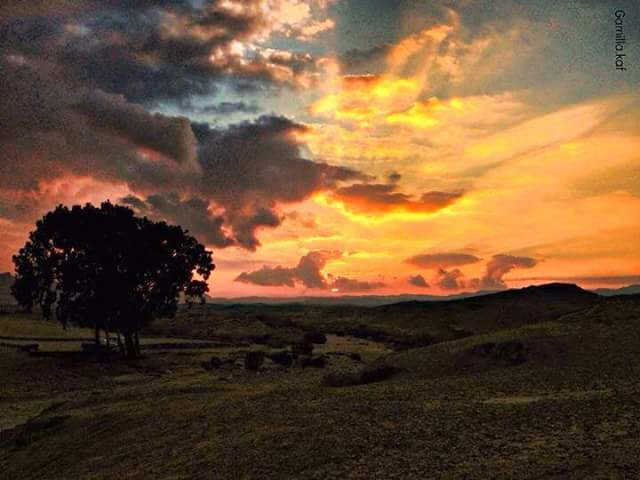 ���� ���� ������ �� ���� ������