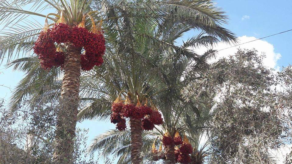 ���� ���� ������ �� ���� ������