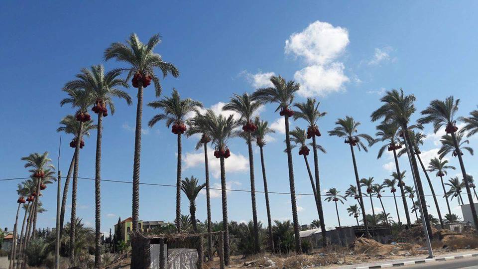 ���� ���� ������ �� ���� ������