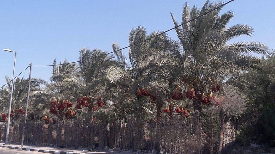 ���� ���� ������ �� ���� ������