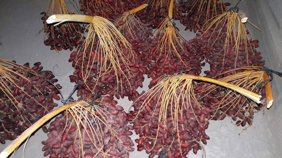 ���� ���� ������ �� ���� ������