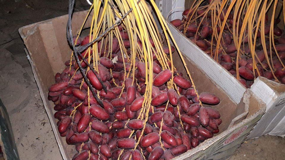 ���� ���� ������ �� ���� ������