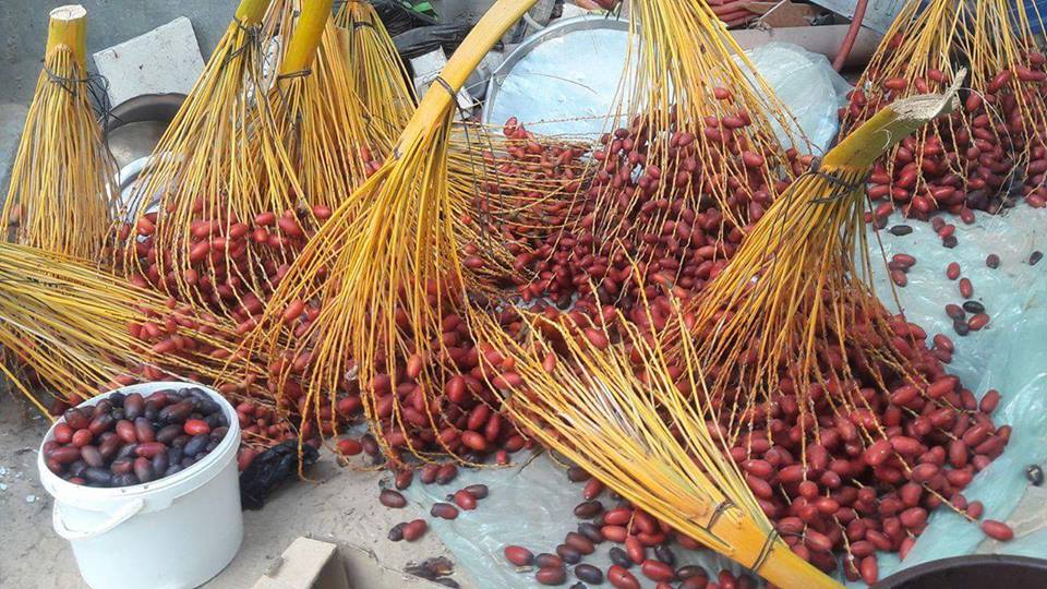 ���� ���� ������ �� ���� ������