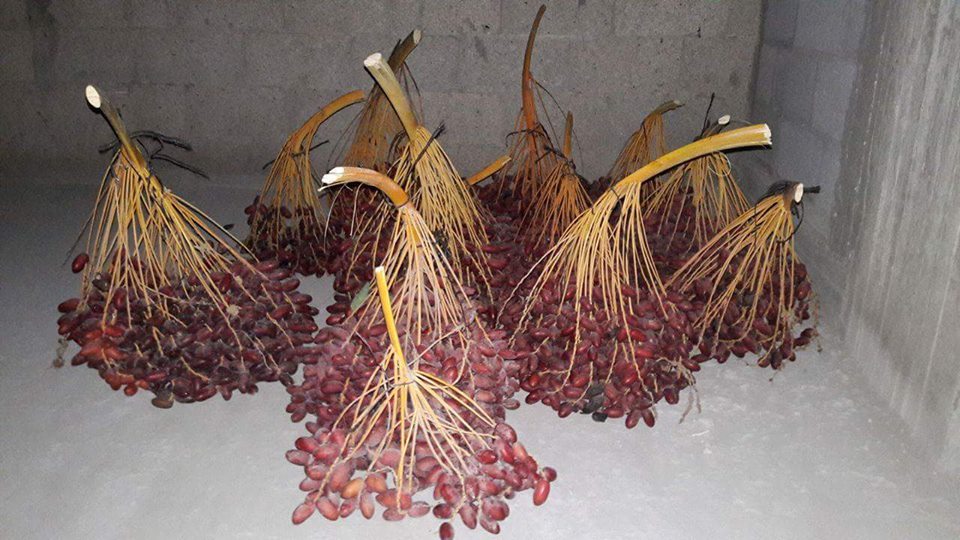 ���� ���� ������ �� ���� ������