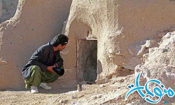 ���� ���� ������ �� ���� ������