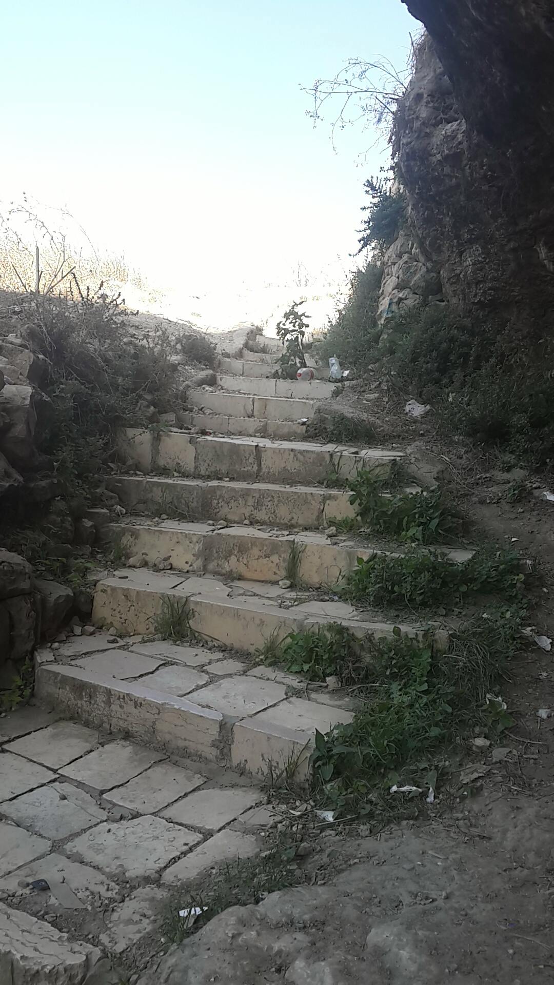 .... bntpal.com_147540024