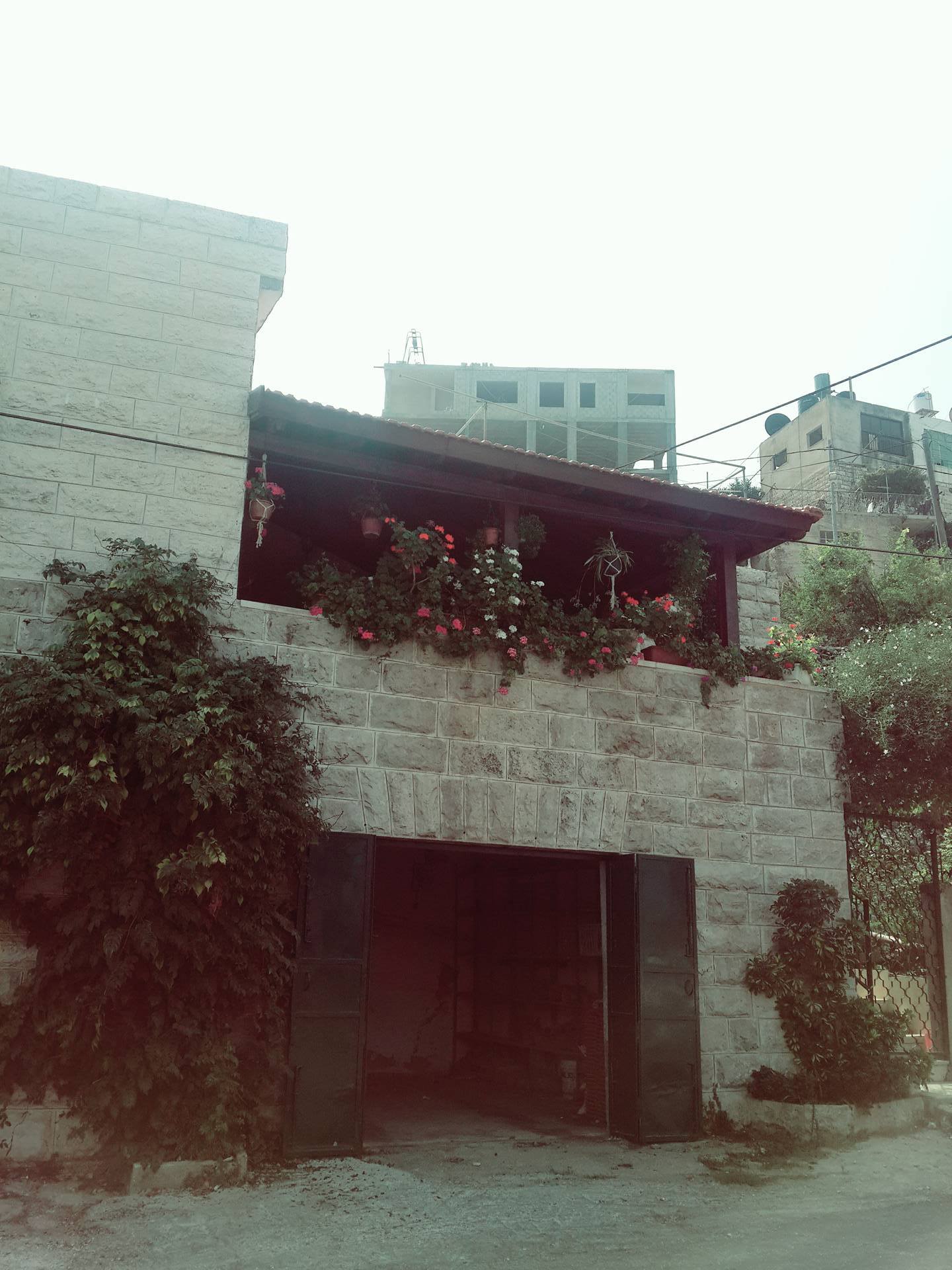 .... bntpal.com_147540024