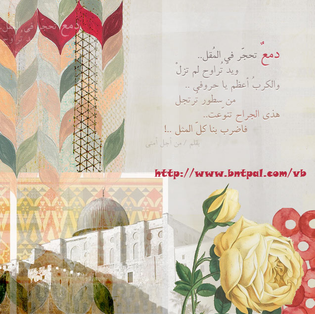 bntpal.com_147541601