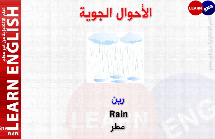  bntpal.com_147556144