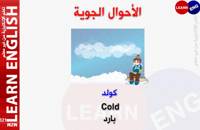  bntpal.com_147565893