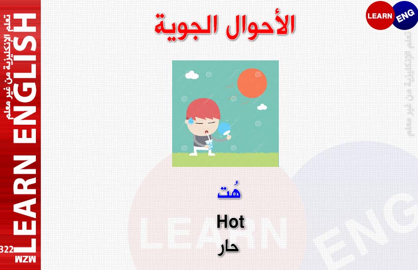  bntpal.com_147565893