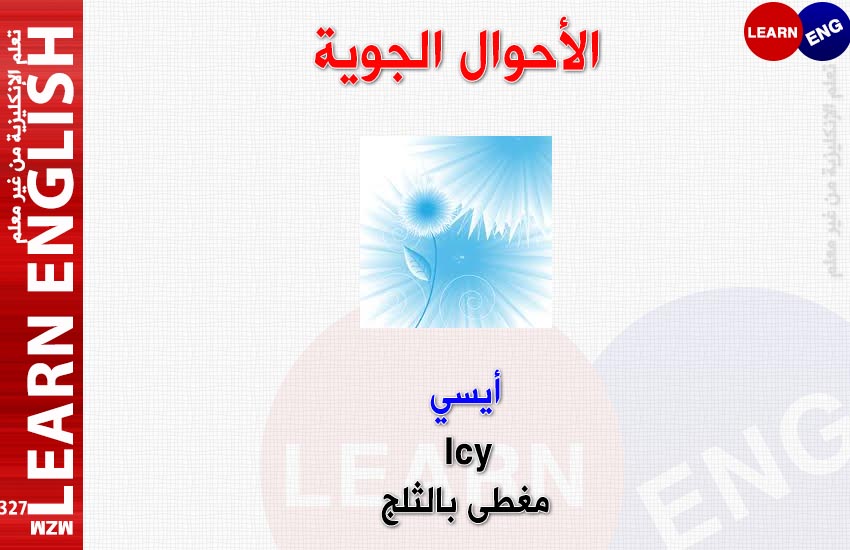  bntpal.com_147599865