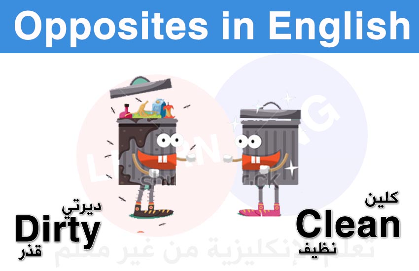   (28-32) Opposites English bntpal.com_147601343