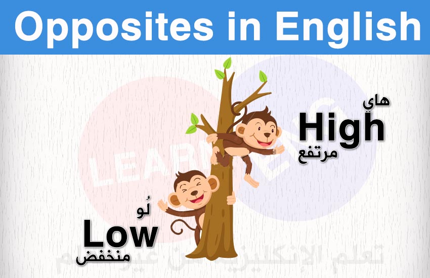   (28-32) Opposites English bntpal.com_147601343