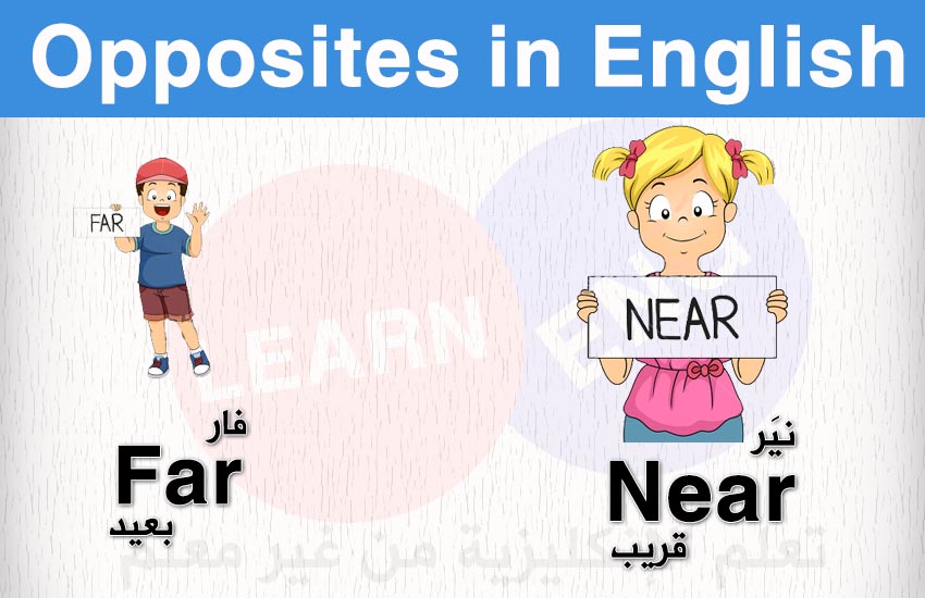   (28-32) Opposites English bntpal.com_147601343