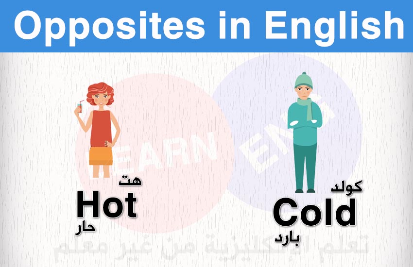   (28-32) Opposites English bntpal.com_147601343