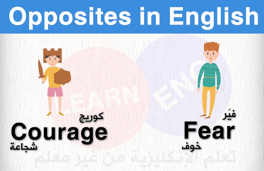   (28-32) Opposites English bntpal.com_147601343