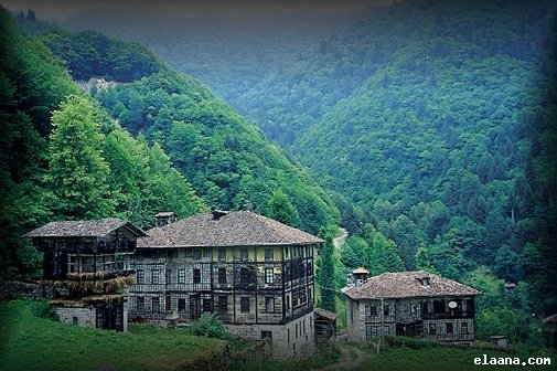 bntpal.com_147616716