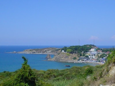 bntpal.com_147616720