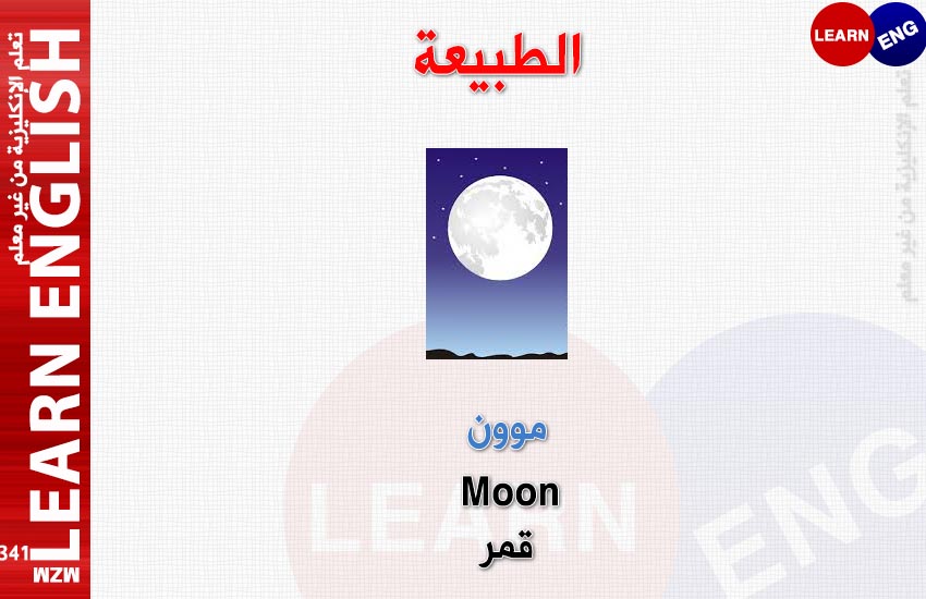  bntpal.com_147685636
