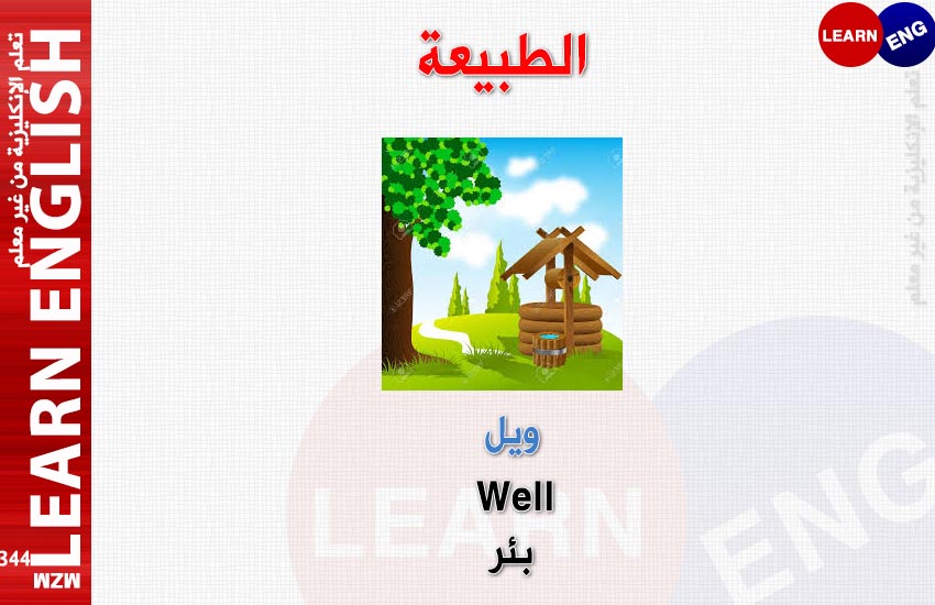  bntpal.com_147685636