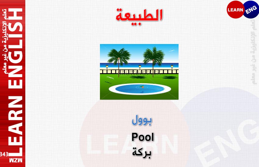  bntpal.com_147685636