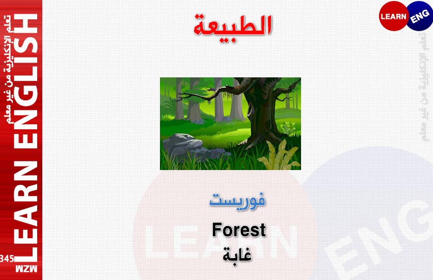  bntpal.com_147685636