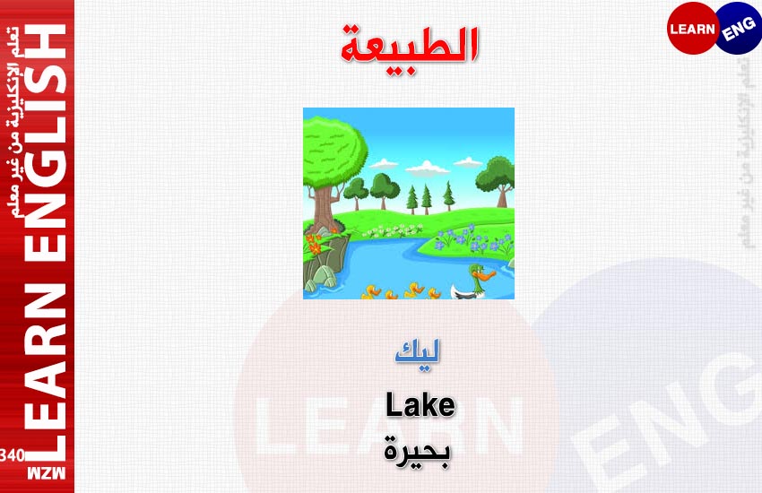  bntpal.com_147685839