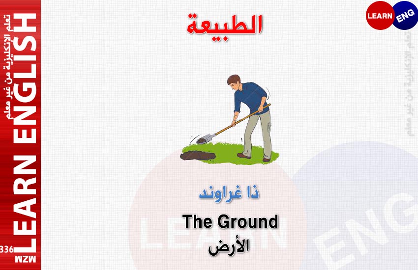  bntpal.com_147685839