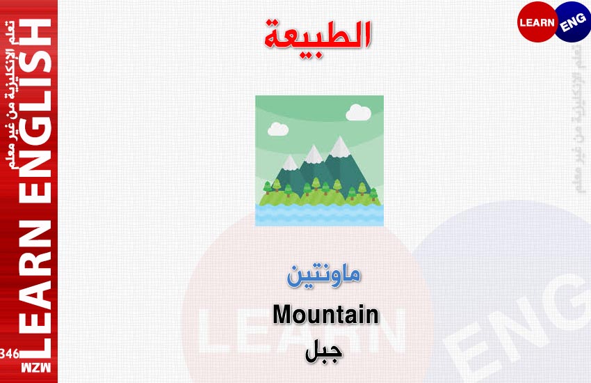 bntpal.com_147695639