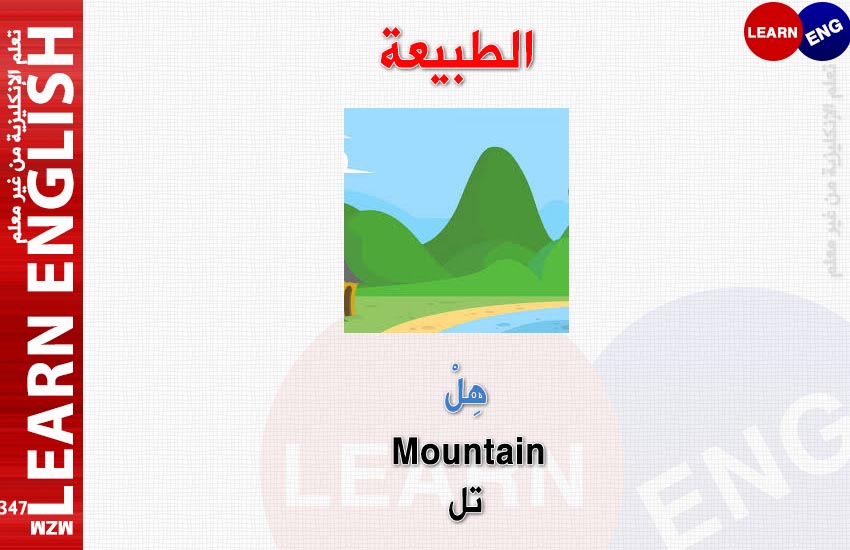  bntpal.com_147695639