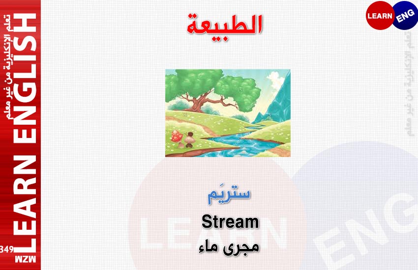  bntpal.com_147695639