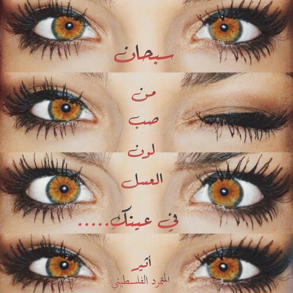 ~❤.. bntpal.com_147748992