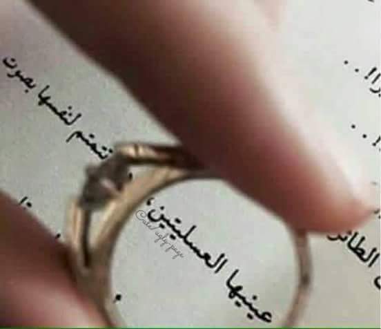 ~❤.. bntpal.com_147748992