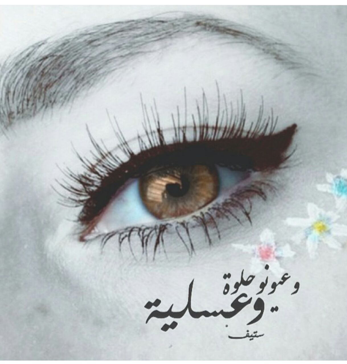 ~❤.. bntpal.com_147748992