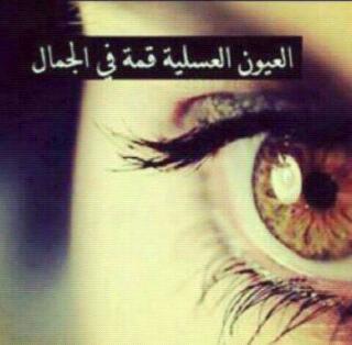 ~❤.. bntpal.com_147749031