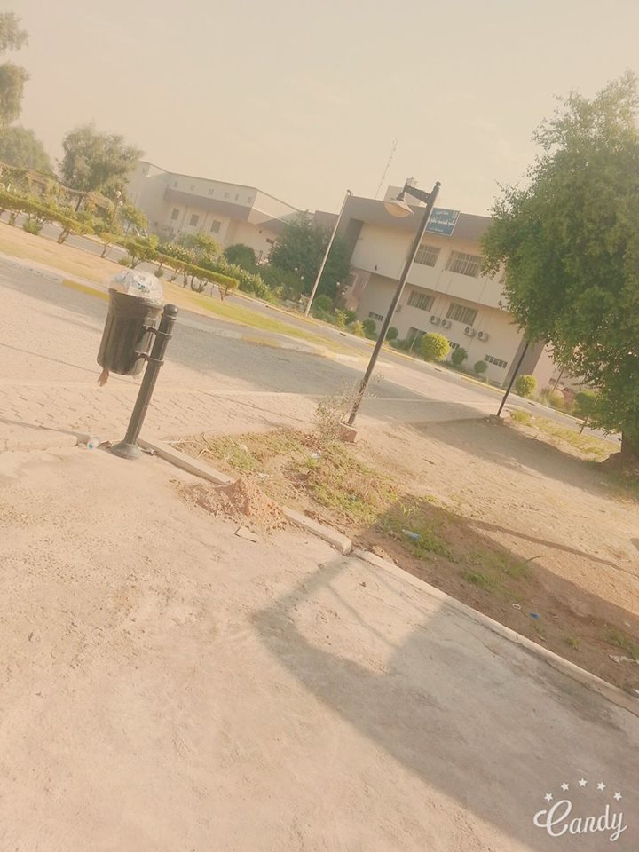 bntpal.com_147758064