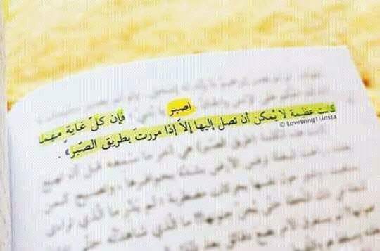  ❤ bntpal.com_147794173