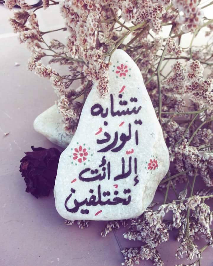  ❤ bntpal.com_147794173