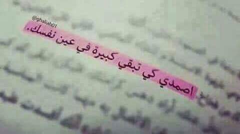  ❤ bntpal.com_147794173