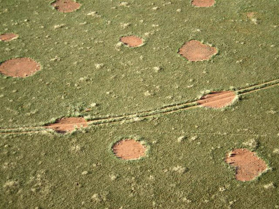 Fairy circles!!!!! bntpal.com_147800890