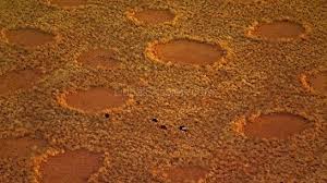 Fairy circles!!!!! bntpal.com_147800890
